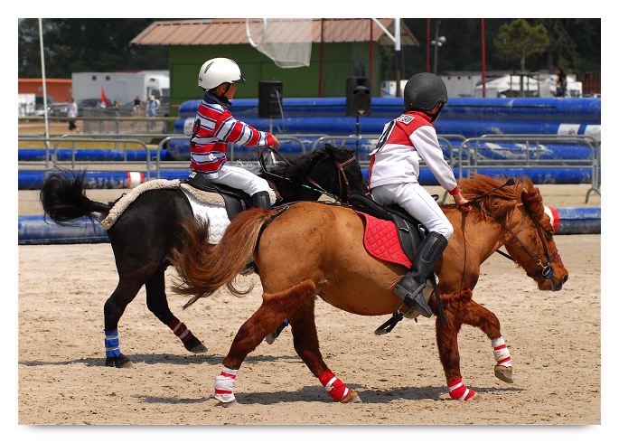 horse ball HB060605-0670 copie