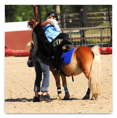 horse ball HB060603-038