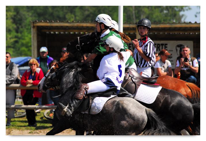 horse ball HB060603-123