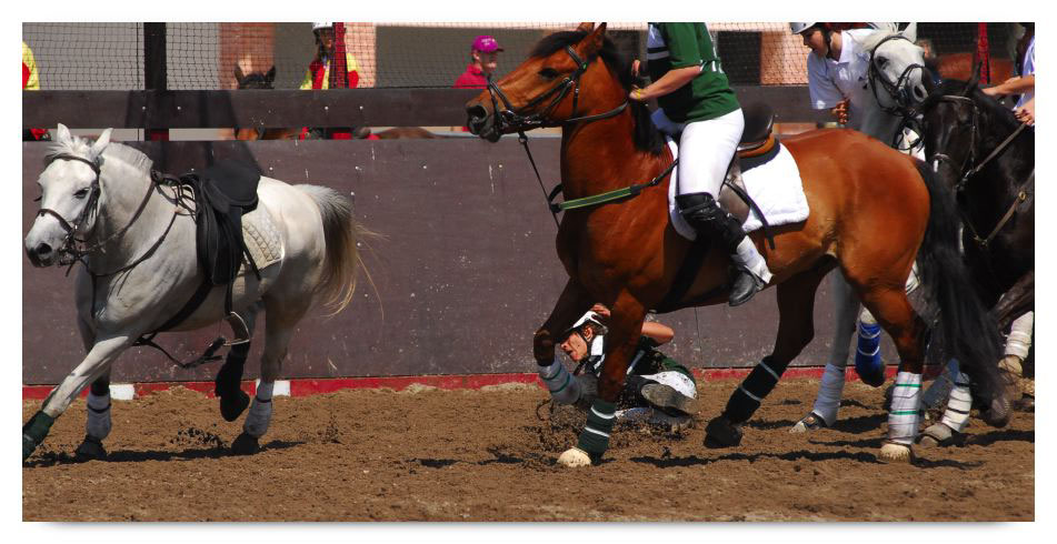 horse ball HB060603-128