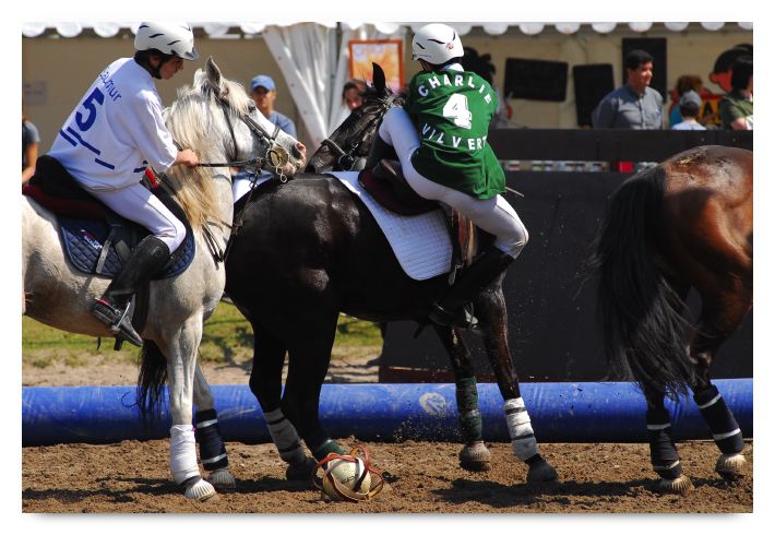 horse ball HB060603-172