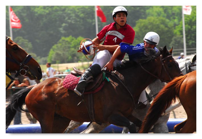 horse ball HB060603-221