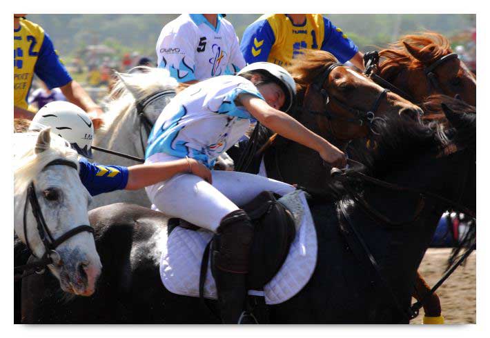 horse ball HB060603-587