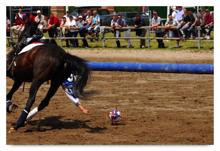 horse ball HB060603-285