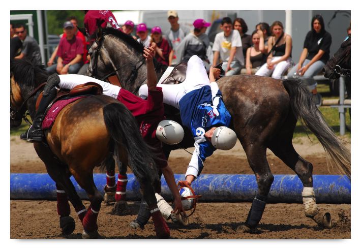 horse ball HB060603-311
