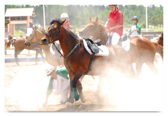 horse ball HB060603-365