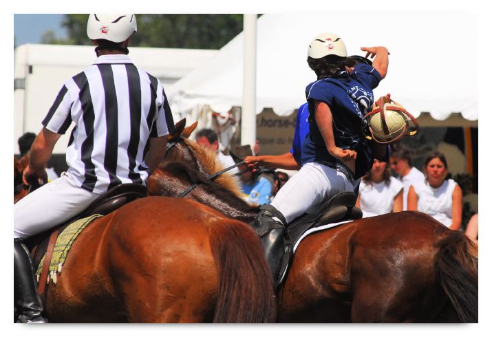 horse ball HB060603-442