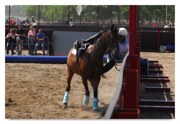 horse ball HB060603-602