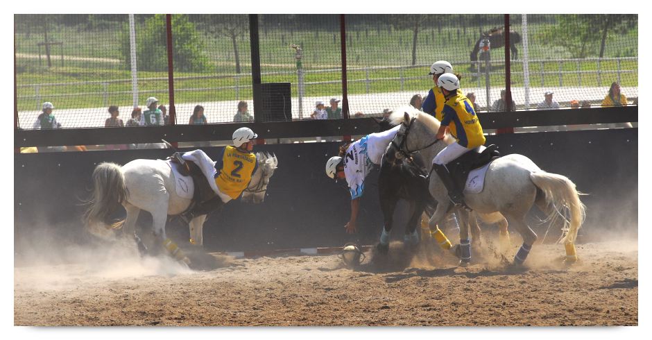 horse ball HB060603-604