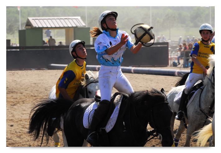 horse ball HB060603-611