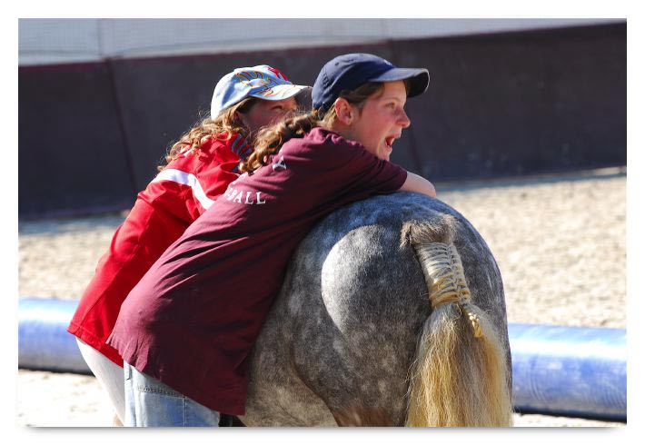 horse ball HB060603-672