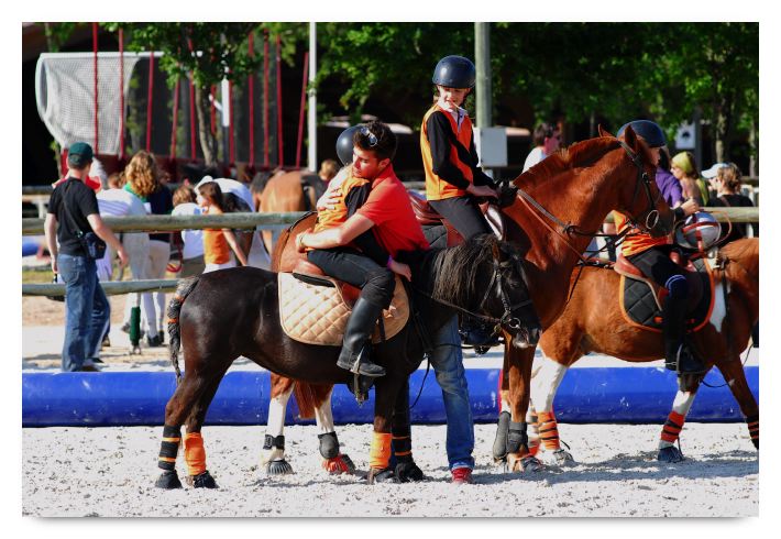 horse ball HB060603-723