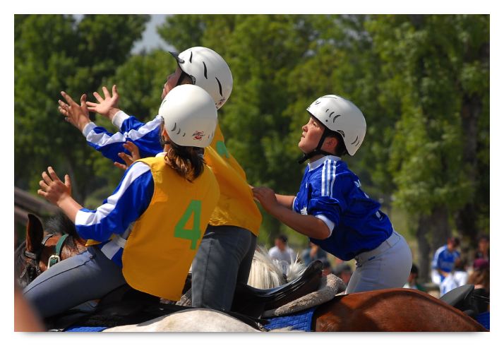 horse ball HB060604-061