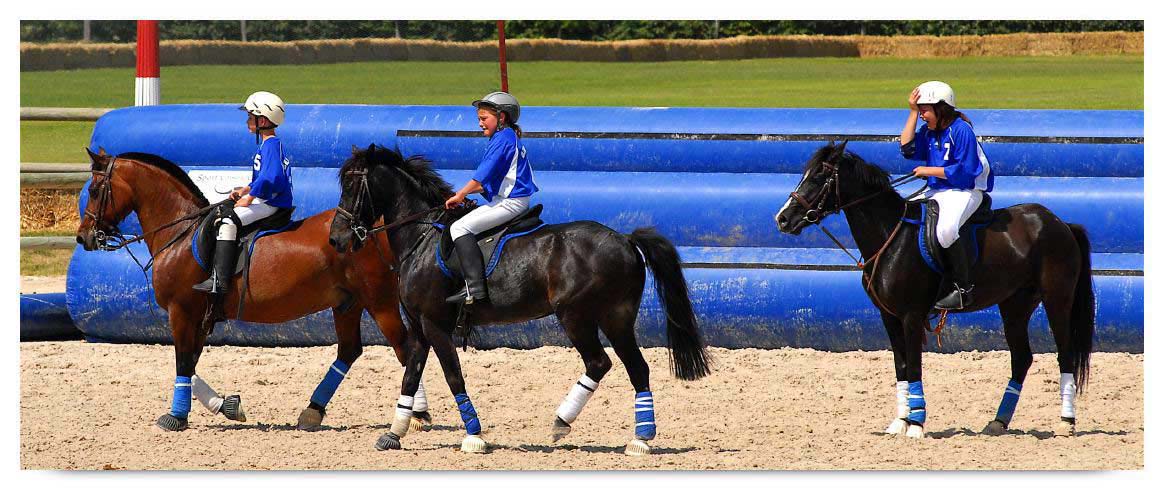 horse ball HB060604-070