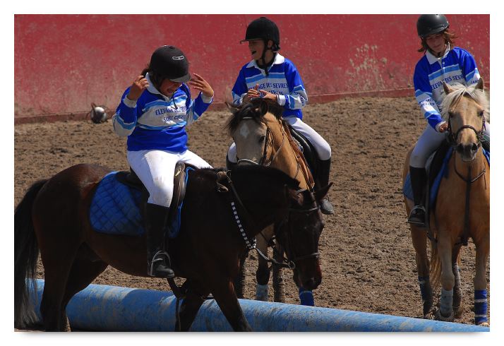 horse ball HB060604-078