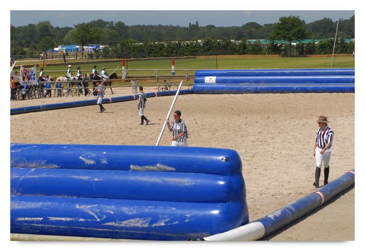 horse ball HB060604-081