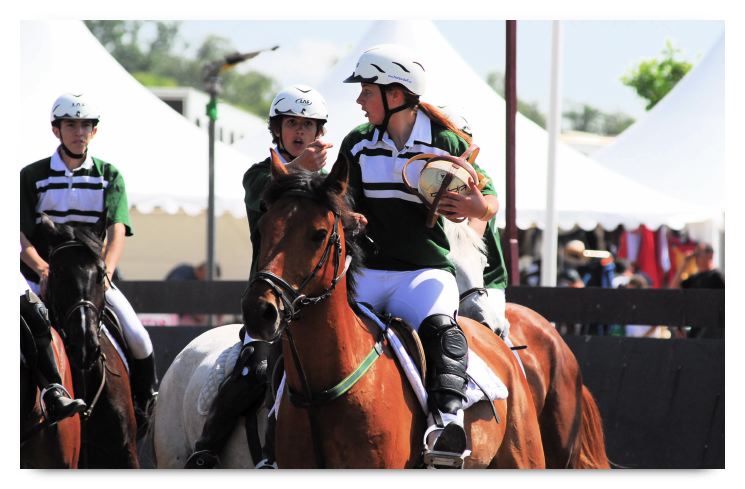 horse ball HB060603-117