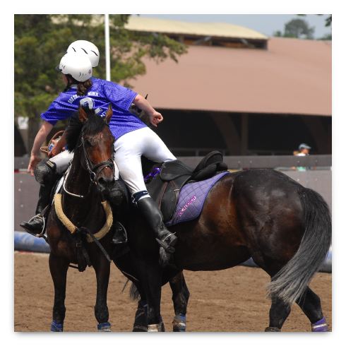 horse ball HB060604-161