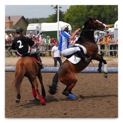 horse ball HB060604-232