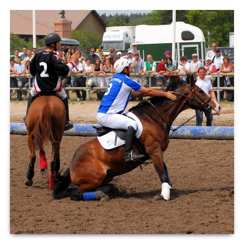 horse ball HB060604-233