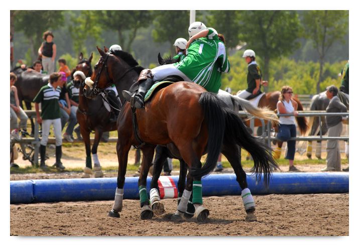 horse ball HB060604-475