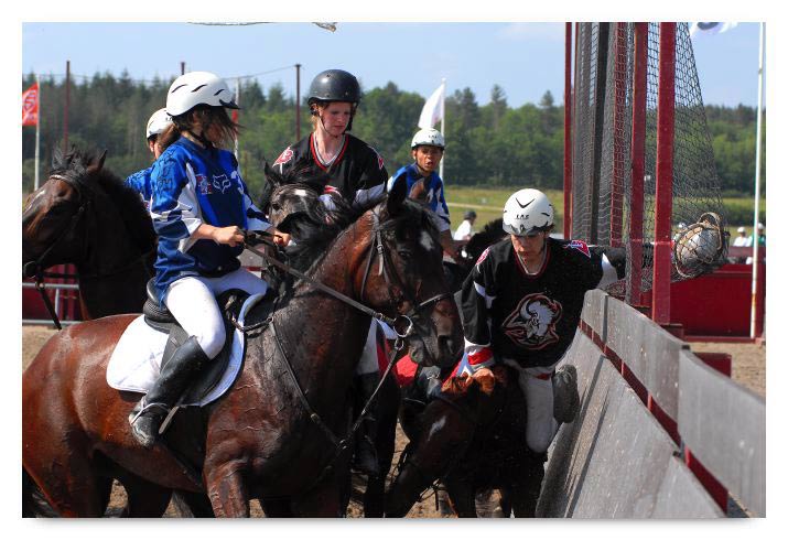 horse ball HB060605-0339