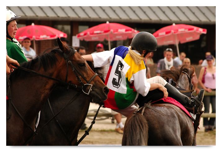 horse ball HB060605-0759